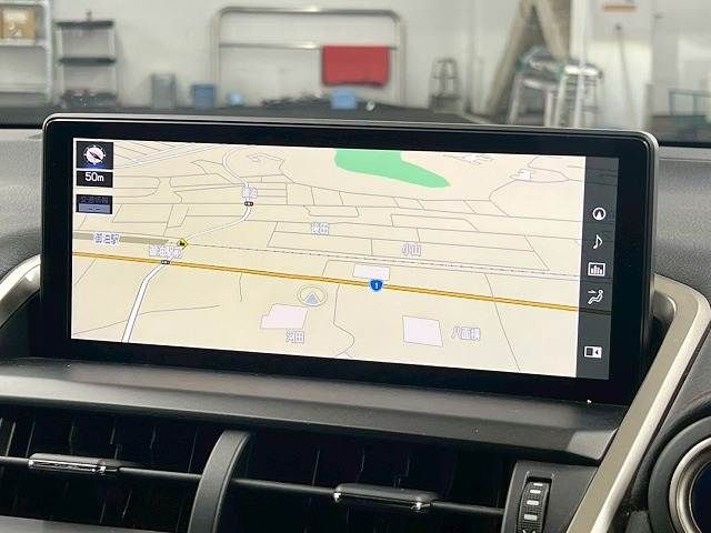 TOYOTA LEXUS NX300h AWD 2020