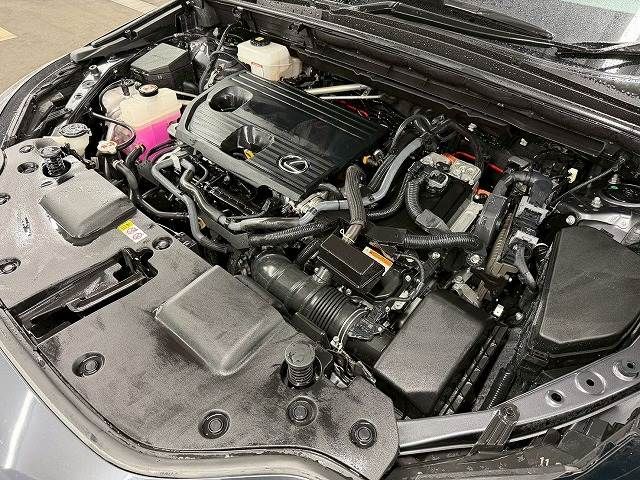 TOYOTA LEXUS NX350h 2022