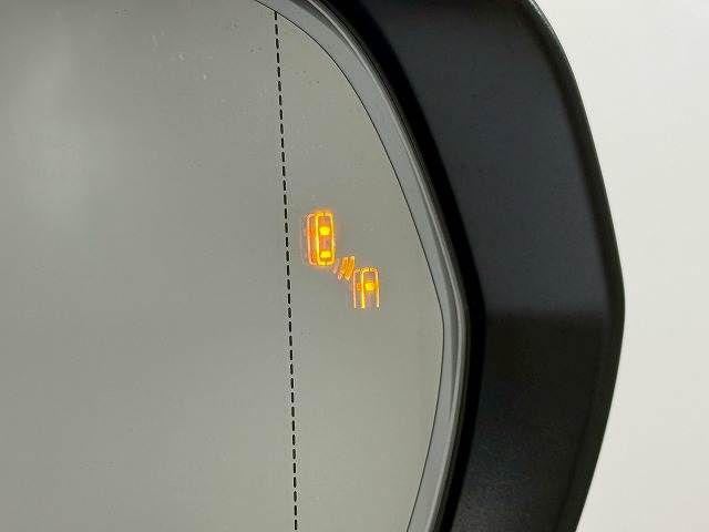 TOYOTA LEXUS NX350h 2023