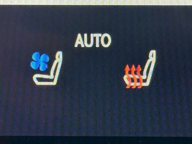 TOYOTA LEXUS NX350h 2023