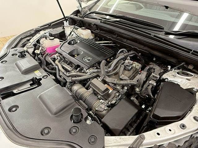 TOYOTA LEXUS NX350h 2023