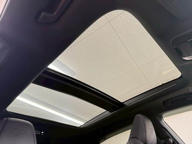 TOYOTA LEXUS RX500h 2023