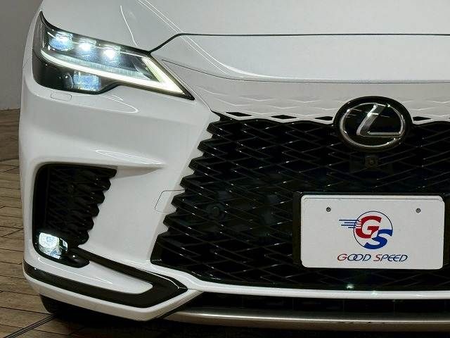 TOYOTA LEXUS RX500h 2023