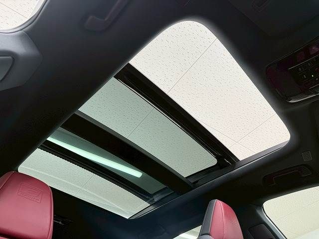 TOYOTA LEXUS RX500h 2023