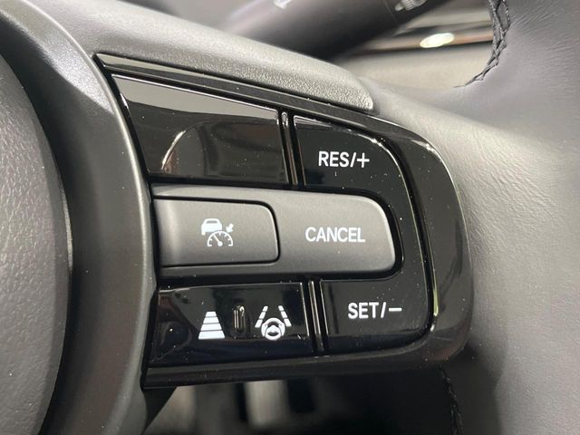 HONDA FIT e:HEV 2025