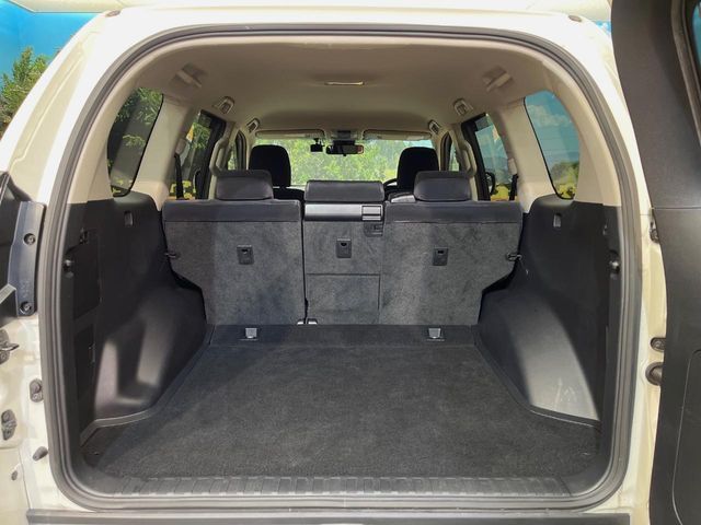 TOYOTA LANDCRUISER PRADO 2019