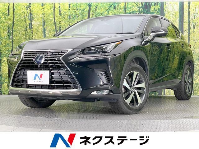 TOYOTA LEXUS NX300h 2018
