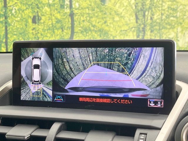 TOYOTA LEXUS NX300h 2018