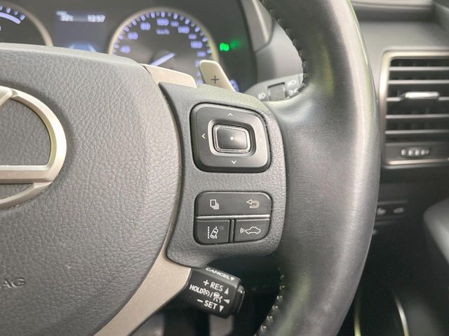 TOYOTA LEXUS NX300h 2018