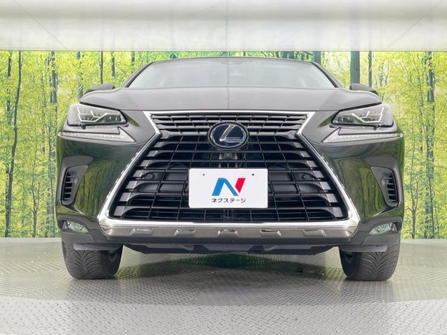 TOYOTA LEXUS NX300h 2018