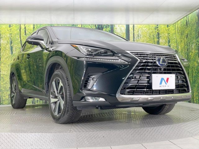TOYOTA LEXUS NX300h 2018