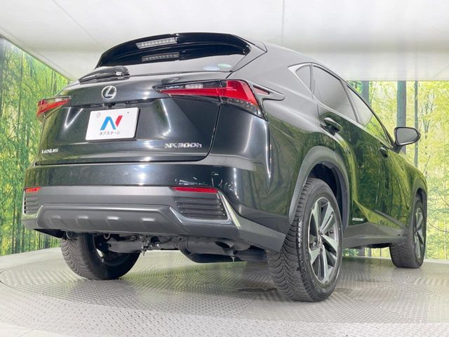 TOYOTA LEXUS NX300h 2018