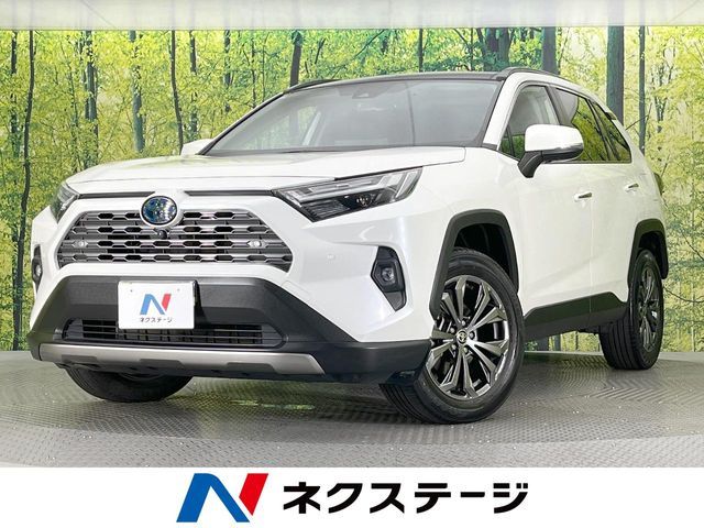 TOYOTA RAV4 HYBRID 4WD 2021
