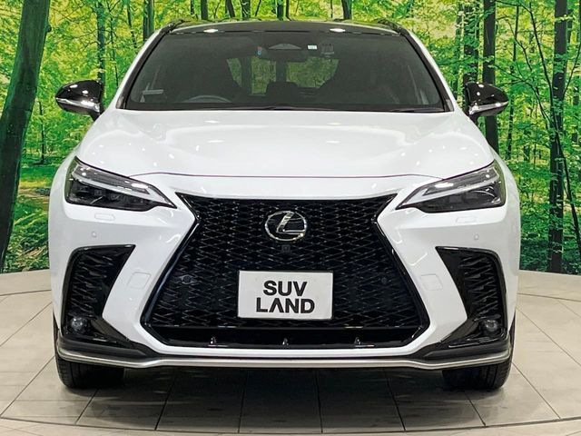 TOYOTA LEXUS NX350h 2023