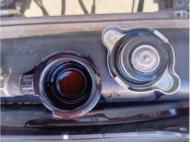 MITSUBISHI FUSOU FIGHTER 2019