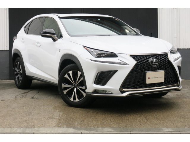 TOYOTA LEXUS NX300 2018