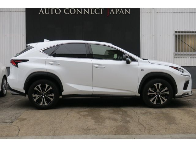 TOYOTA LEXUS NX300 2018