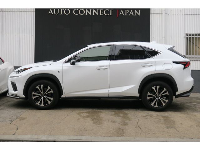 TOYOTA LEXUS NX300 2018