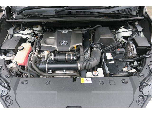 TOYOTA LEXUS NX300 2018