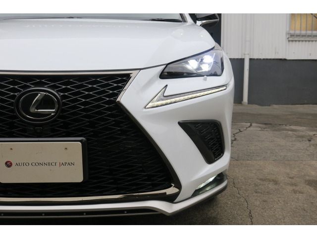 TOYOTA LEXUS NX300 2018