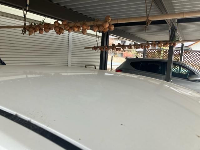 MAZDA DEMIO 4WD 2015