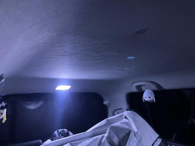 SUZUKI WAGON R STINGRAY 2009