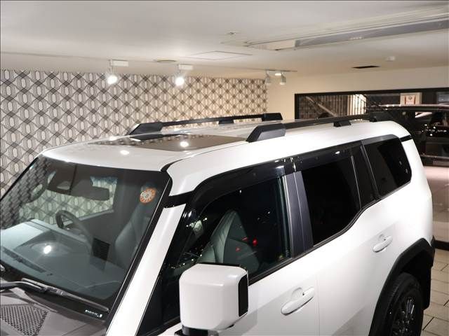 TOYOTA LANDCRUISER 250 2024