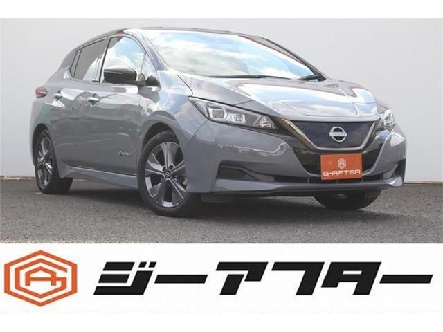 NISSAN LEAF 2021