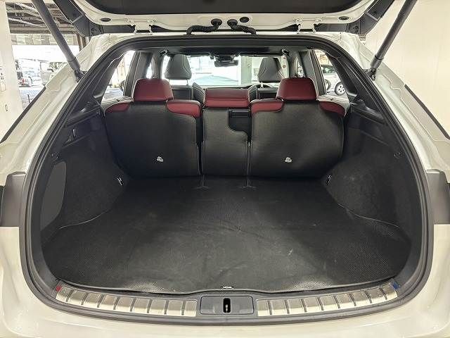 TOYOTA LEXUS RX500h 2023