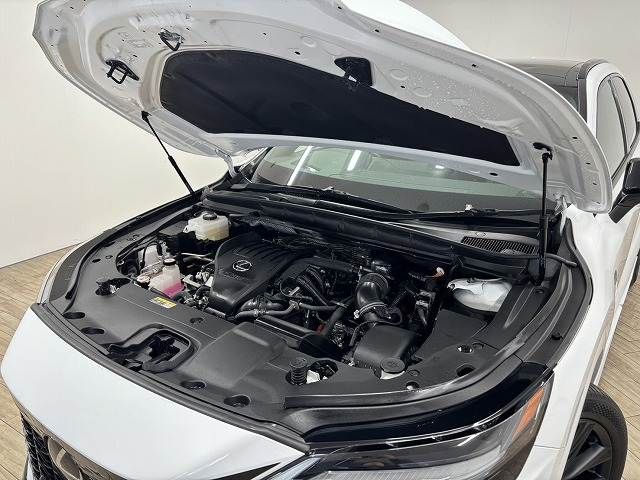 TOYOTA LEXUS RX500h 2023