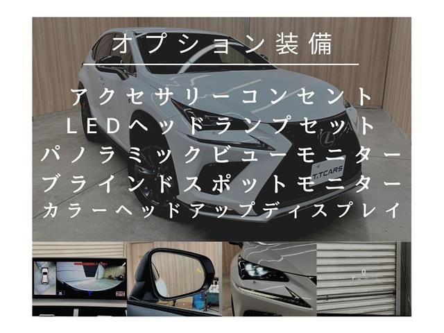 TOYOTA LEXUS NX300 2018