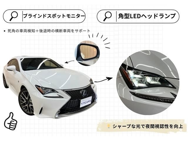 TOYOTA LEXUS NX300 2018