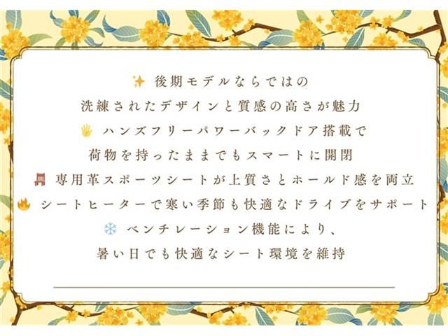 TOYOTA LEXUS NX300 2018