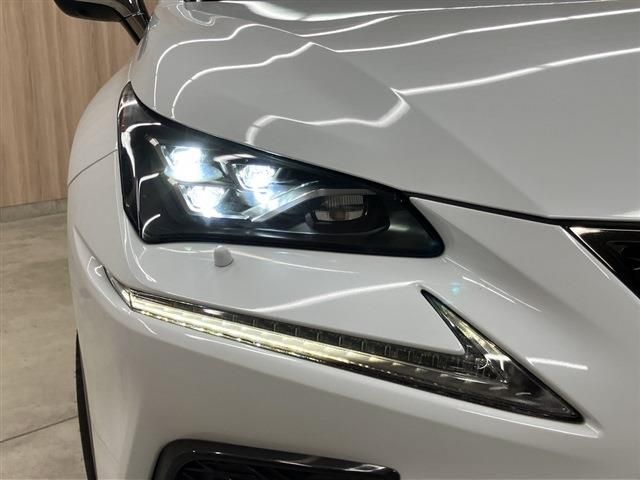 TOYOTA LEXUS NX300 2018