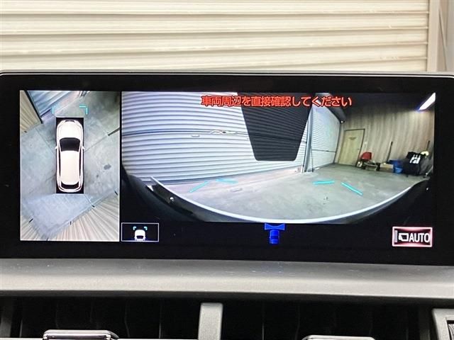 TOYOTA LEXUS NX300 2018