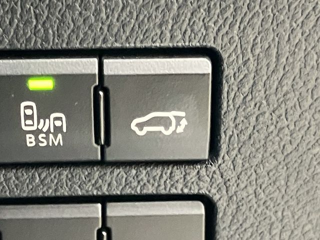 TOYOTA LEXUS NX300 2018