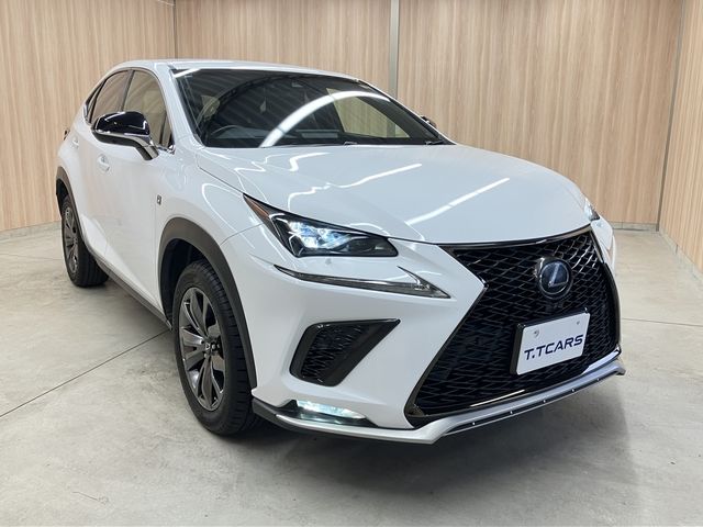 TOYOTA LEXUS NX300 2018