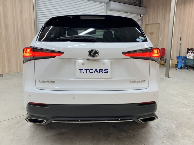TOYOTA LEXUS NX300 2018