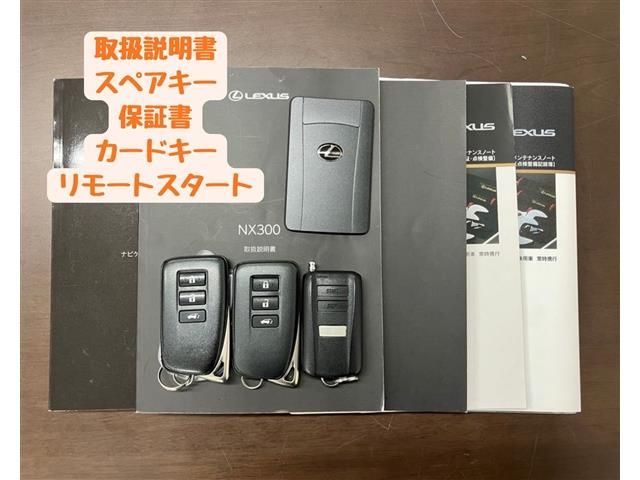 TOYOTA LEXUS NX300 2018