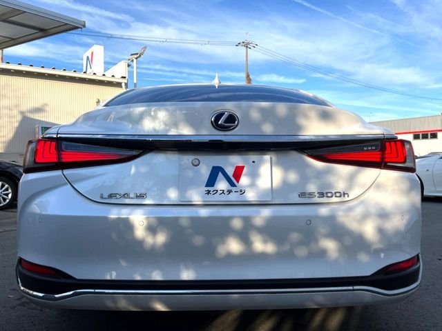 TOYOTA LEXUS ES300h 2019