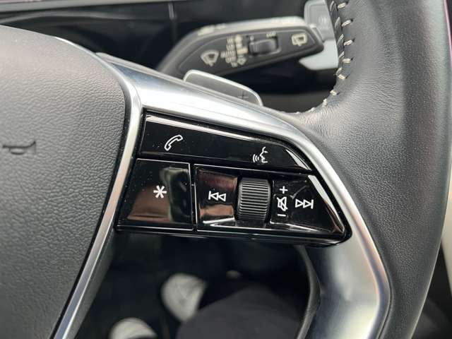 AUDI AUDI e-tron 2021