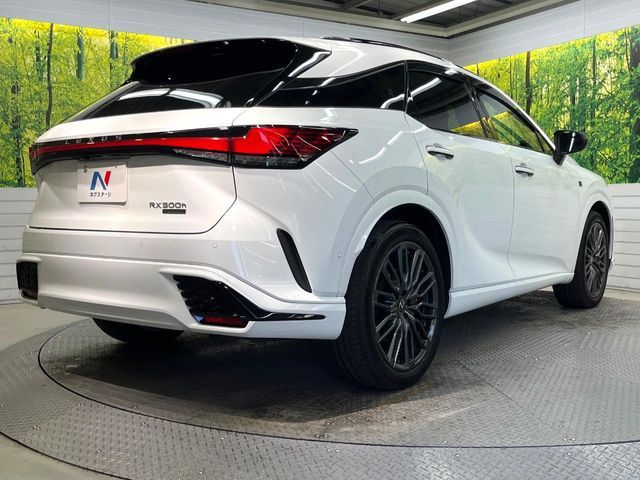 TOYOTA LEXUS RX500h 2024