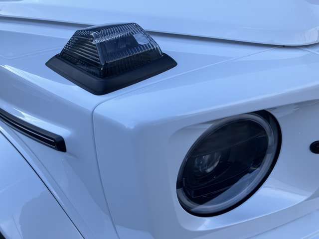 MERCEDES BENZ MERCEDES BENZ G class 2025