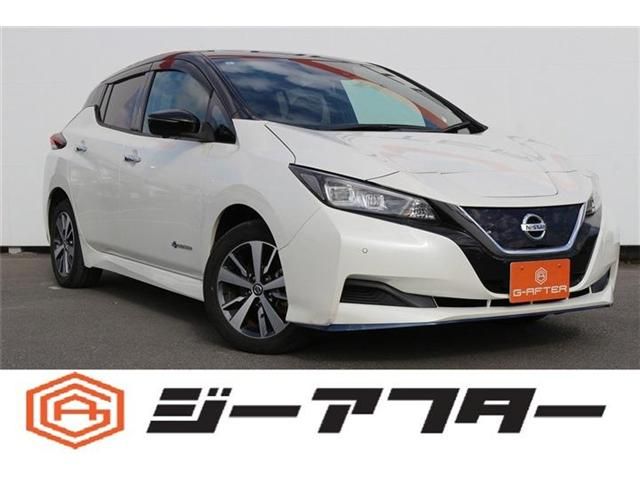 NISSAN LEAF 2020