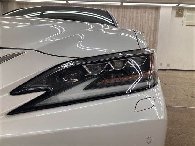 TOYOTA LEXUS ES300h 2019