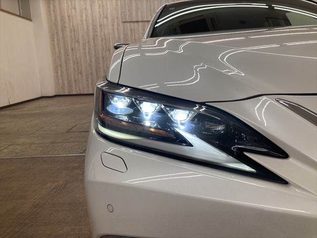 TOYOTA LEXUS ES300h 2019