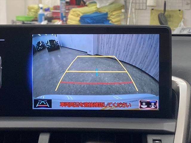 TOYOTA LEXUS NX300h 2018