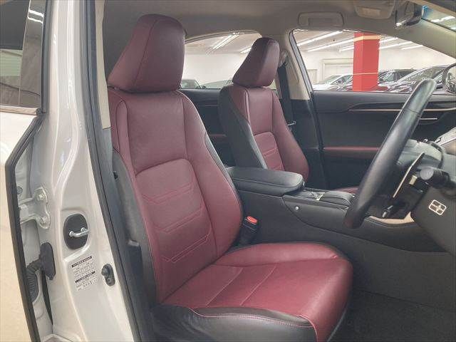 TOYOTA LEXUS NX300h 2018