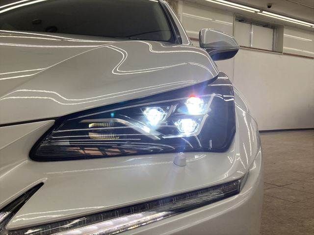 TOYOTA LEXUS NX300h 2018