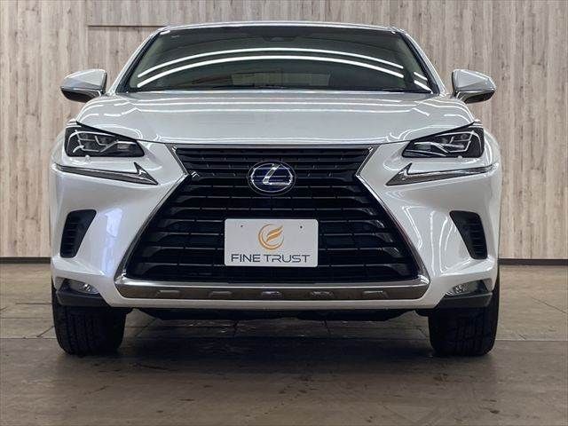TOYOTA LEXUS NX300h 2018